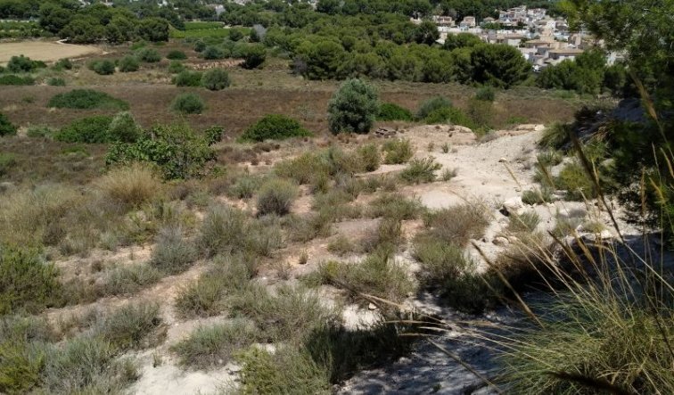 Reventa - land - Pinar de Campoverde