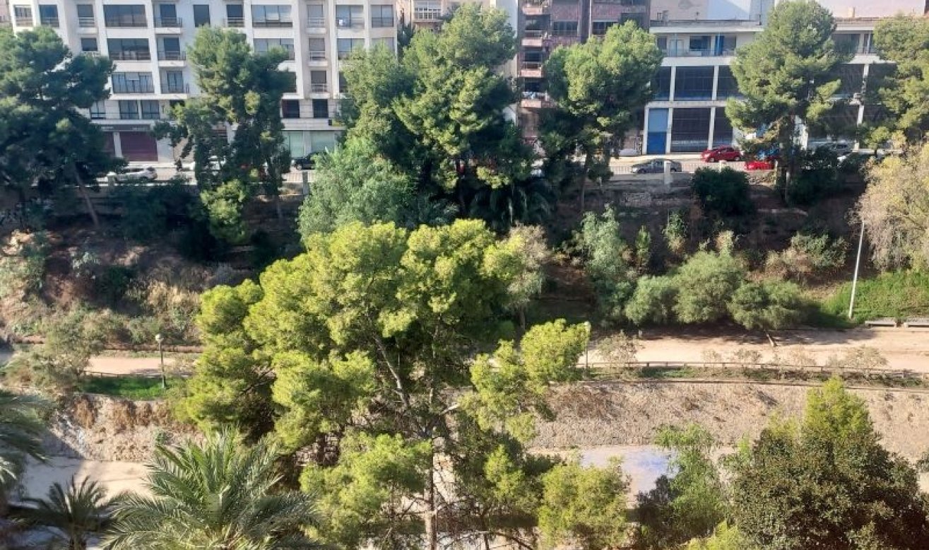  - Apartment / flat - Elche