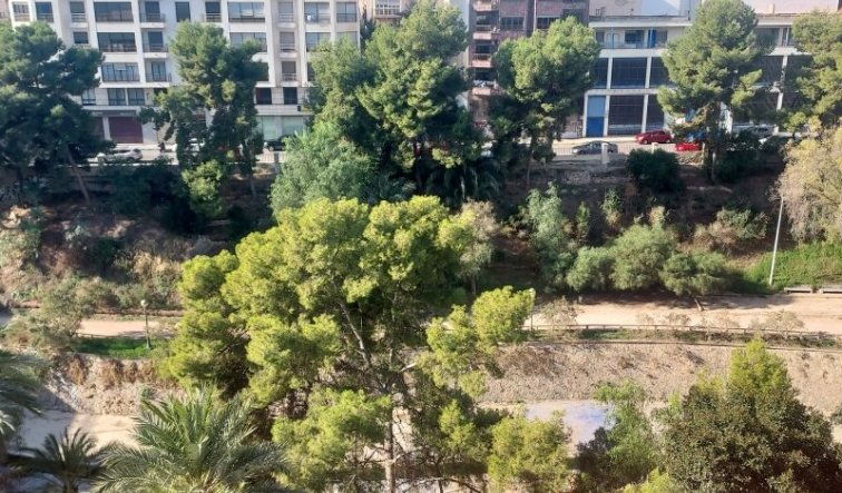  - Apartment / flat - Elche