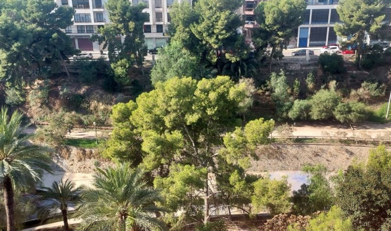  - Apartment / flat - Elche