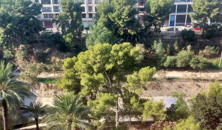  - Apartment / flat - Elche