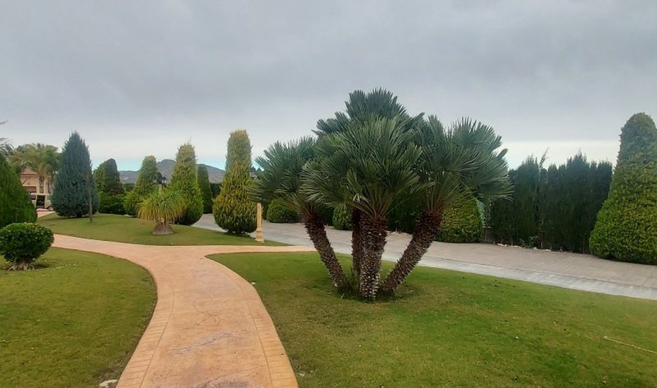 Revente - Villa - Hondón de las Nieves