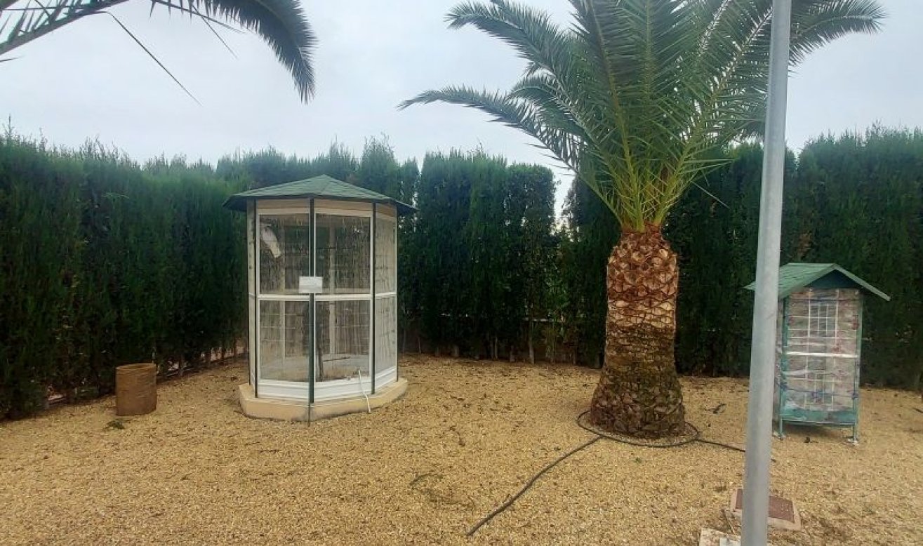 Revente - Villa - Hondón de las Nieves
