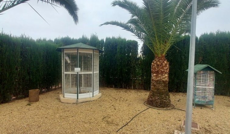 Revente - Villa - Hondón de las Nieves