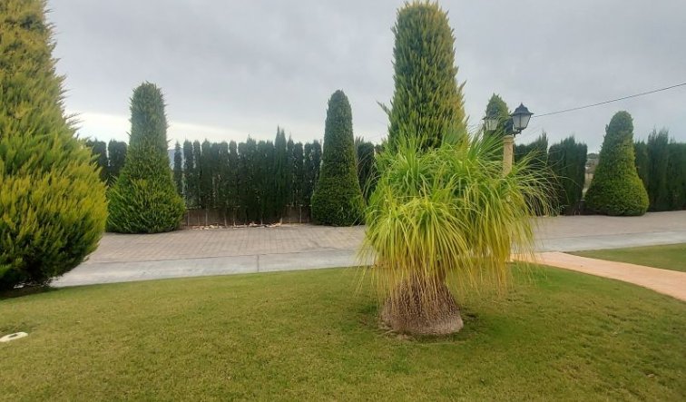 Revente - Villa - Hondón de las Nieves