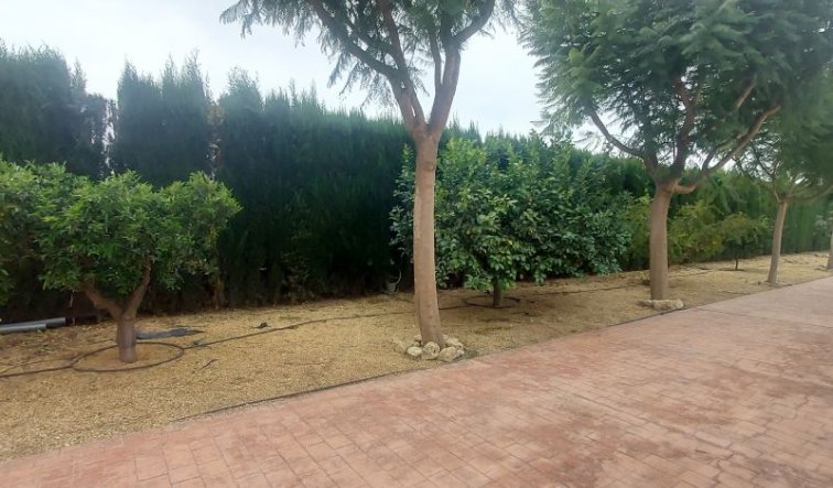 Revente - Villa - Hondón de las Nieves