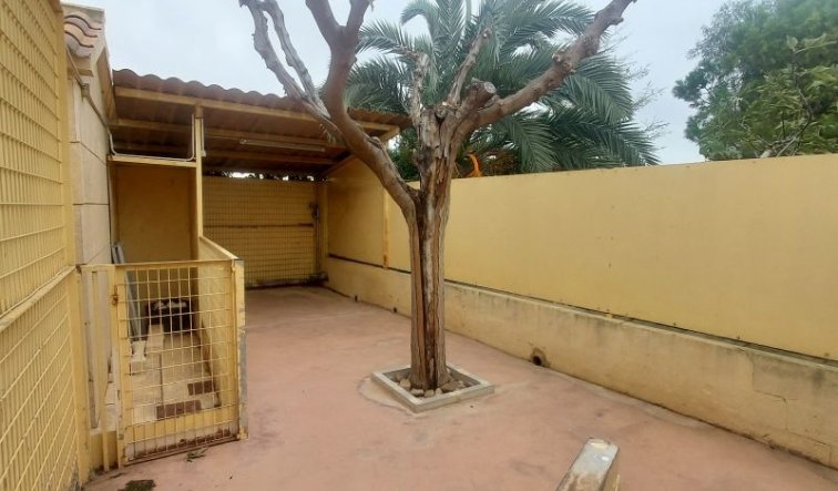 Revente - Villa - Hondón de las Nieves