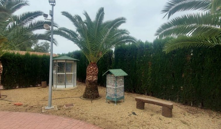 Revente - Villa - Hondón de las Nieves