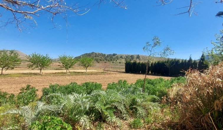 Revente - Country house - Hondón de las Nieves