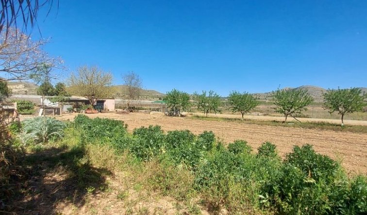 Revente - Country house - Hondón de las Nieves