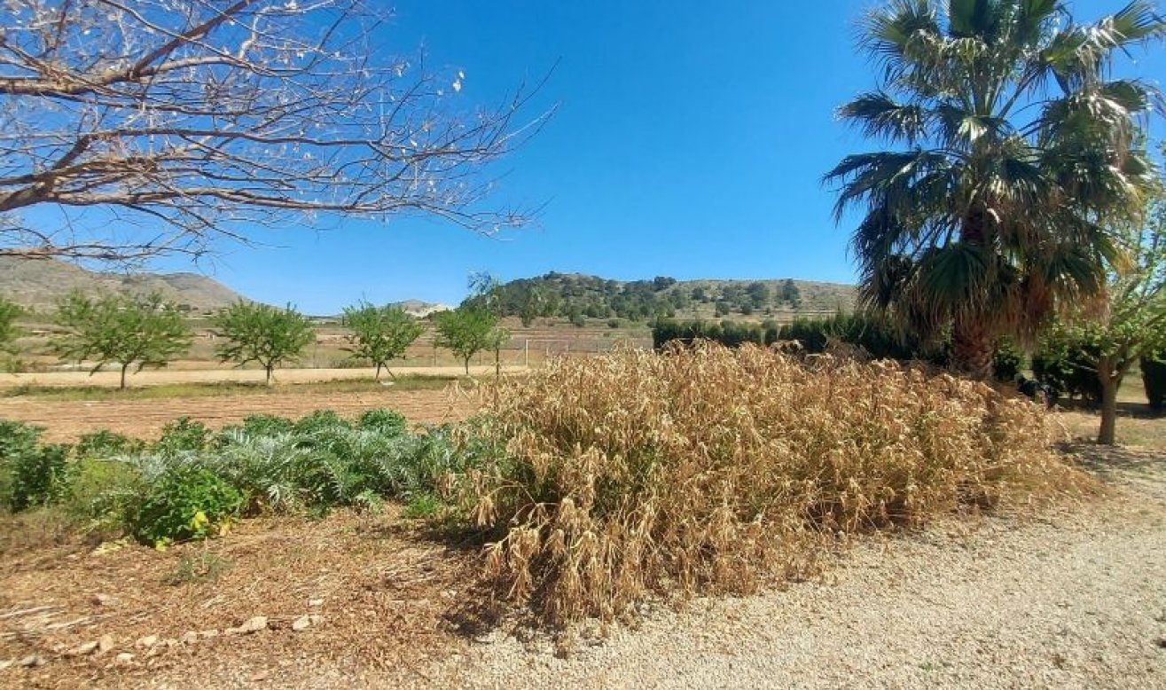 Revente - Country house - Hondón de las Nieves