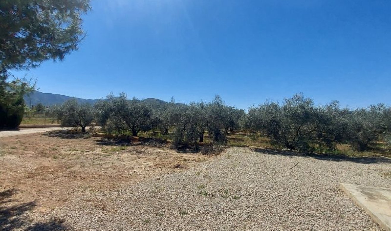 Revente - Country house - Hondón de las Nieves