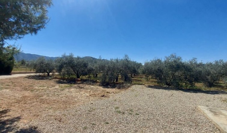 Revente - Country house - Hondón de las Nieves