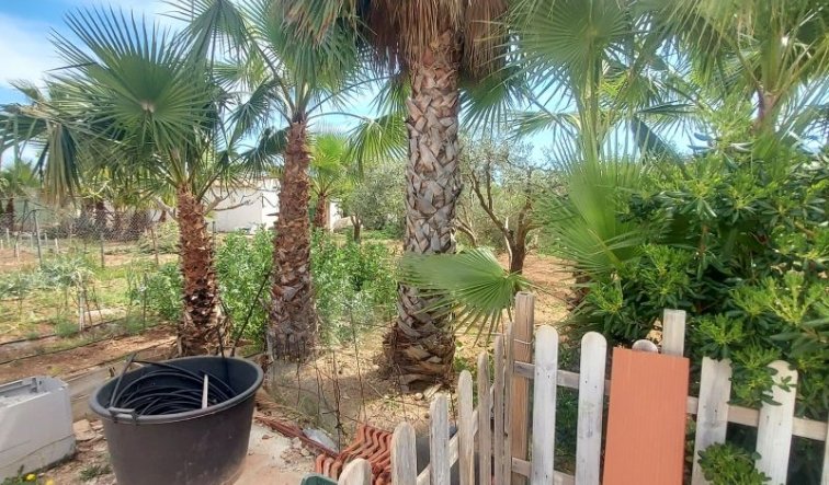 Reventa - Villa - Hondón de las Nieves