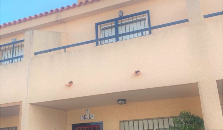 Reventa - Duplex - Torre de la Horadada