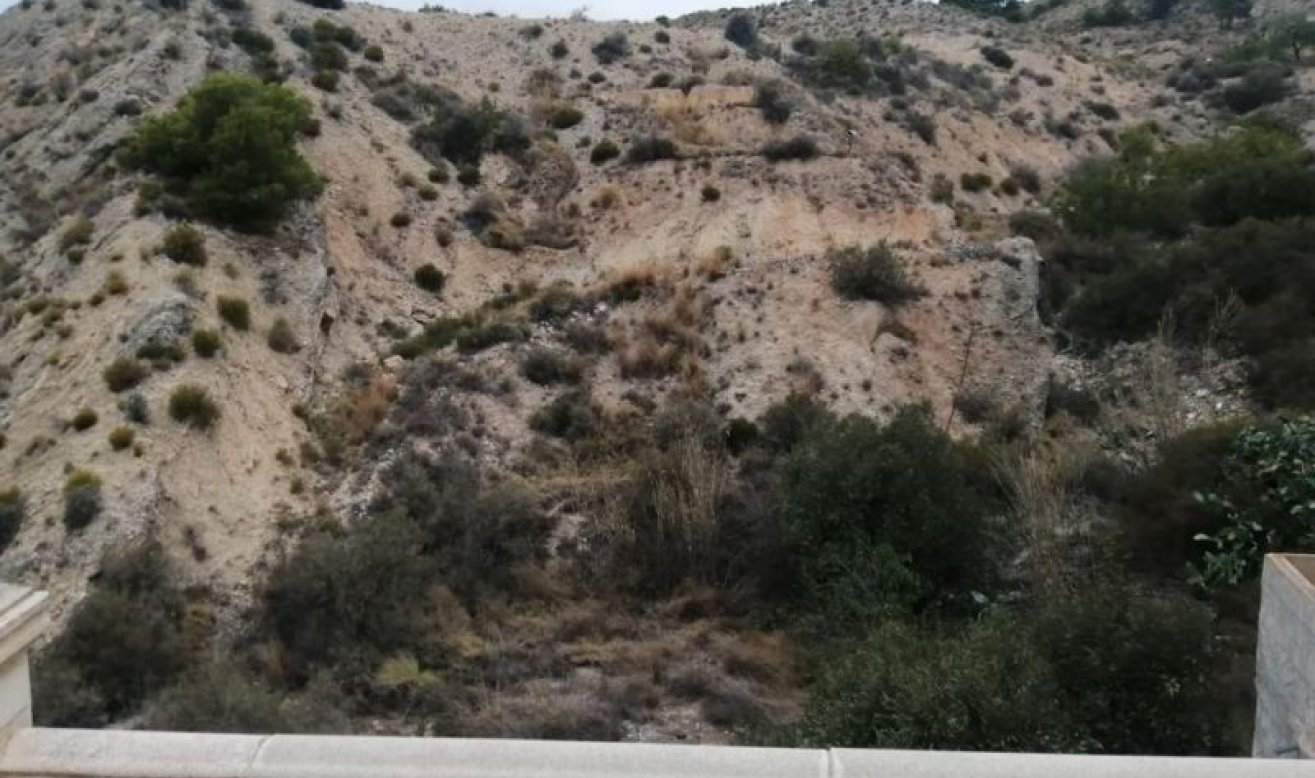 Resale - Country house - Crevillente