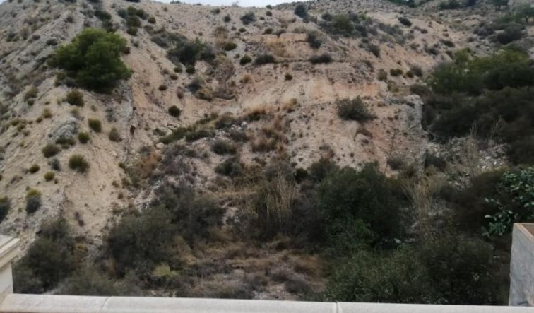 Resale - Country house - Crevillente