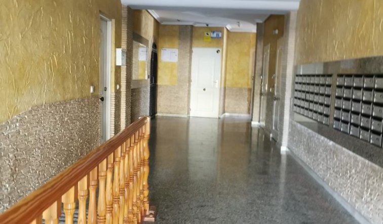 Revente - Appartement - Torrevieja - torrevieja