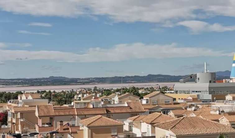 Revente - Appartement - Torrevieja - torrevieja