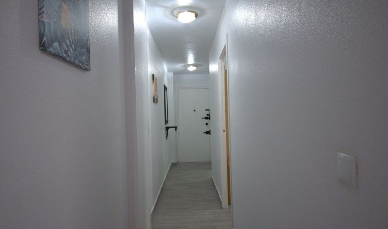 Reventa - Apartamento / piso - Torrevieja - torrevieja