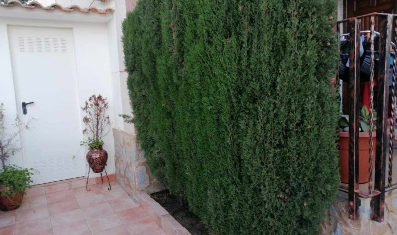 Reventa - Duplex - Pilar de la Horadada