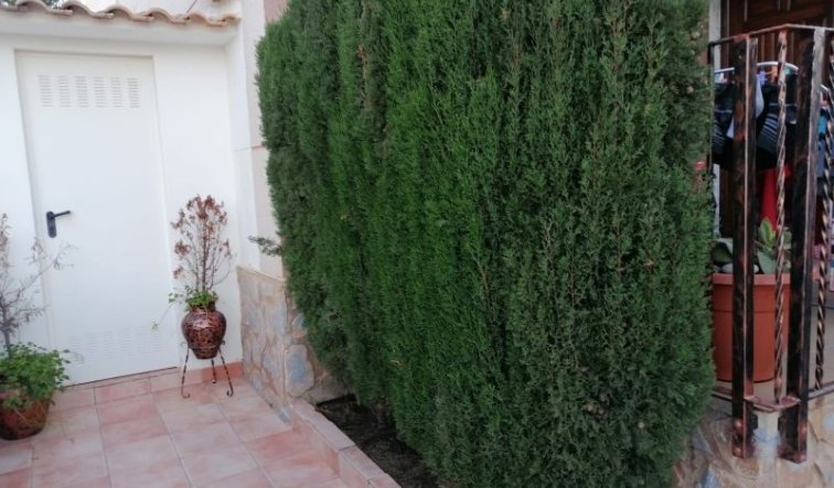 Reventa - Duplex - Pilar de la Horadada