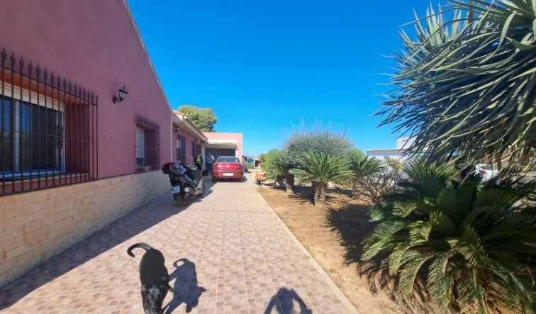 Revente - Country house - Torre Pacheco