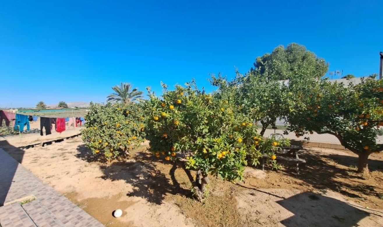 Revente - Country house - Torre Pacheco