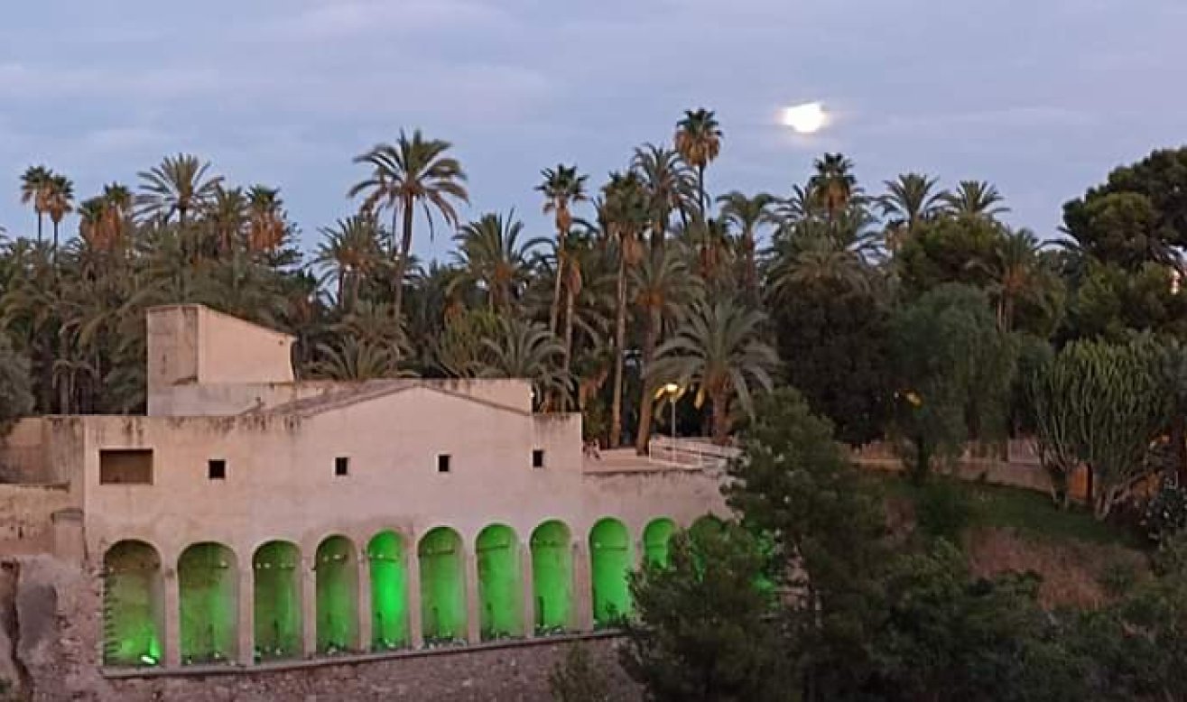 Reventa - Comercial - Elche