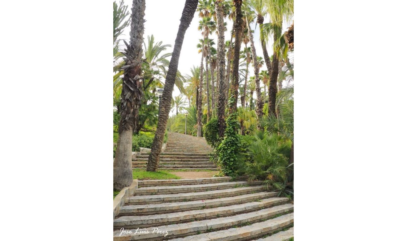 Reventa - Comercial - Elche