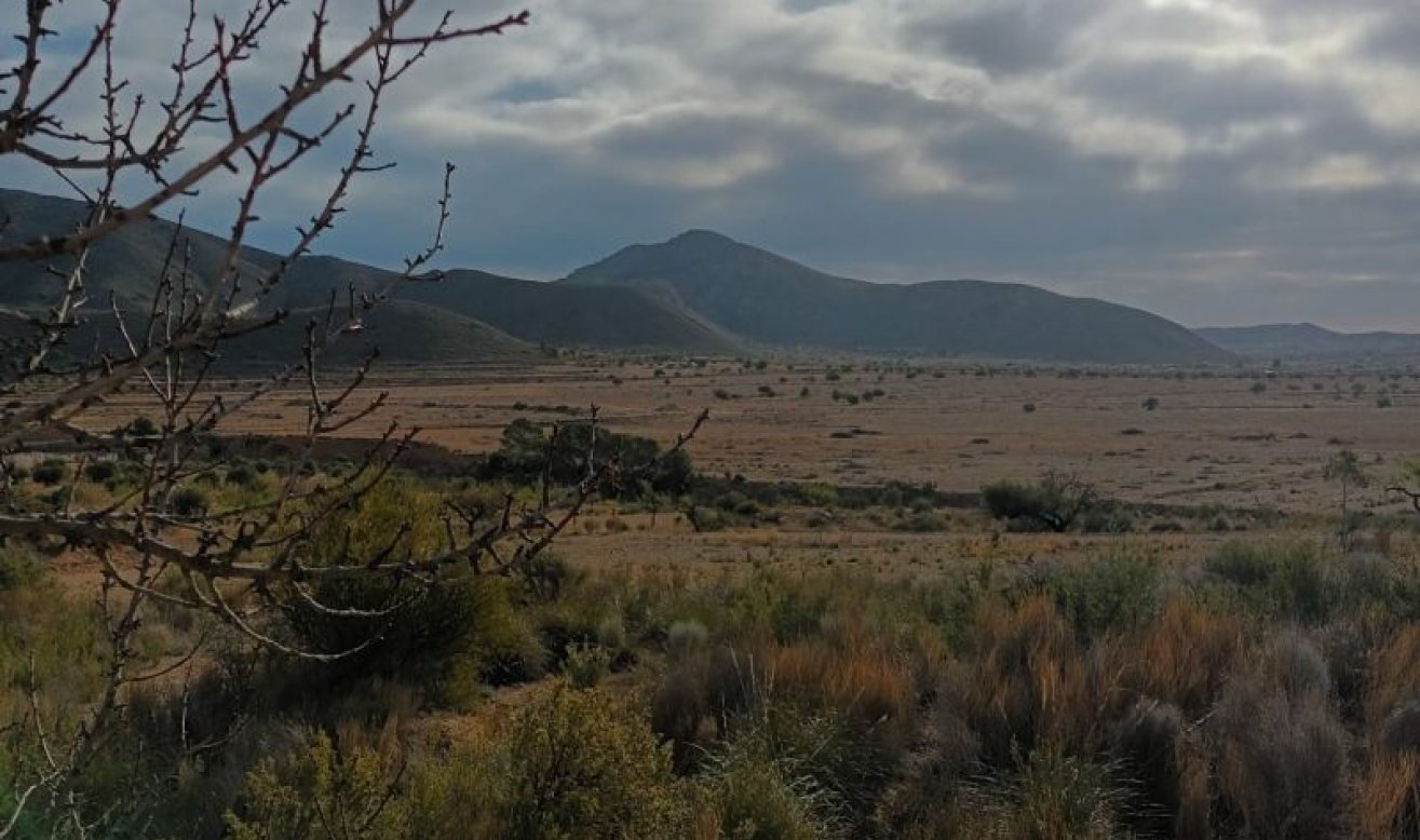 Reventa - land - Murcia