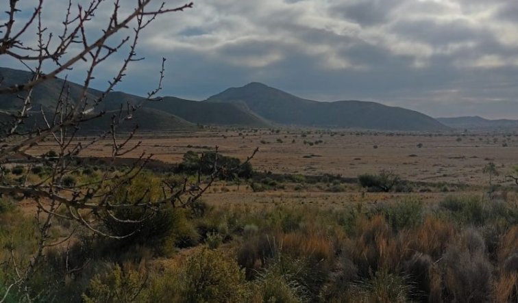 Reventa - land - Murcia