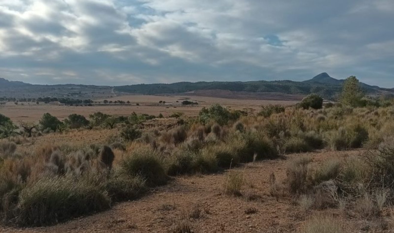 Reventa - land - Murcia