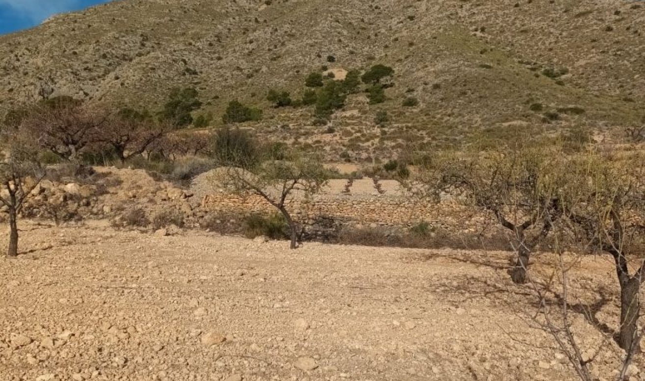 Reventa - land - Murcia