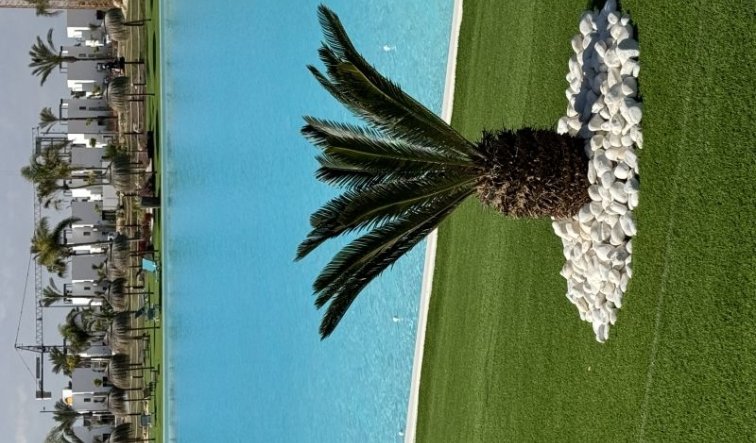 Reventa - Apartamento / piso - Torre Pacheco