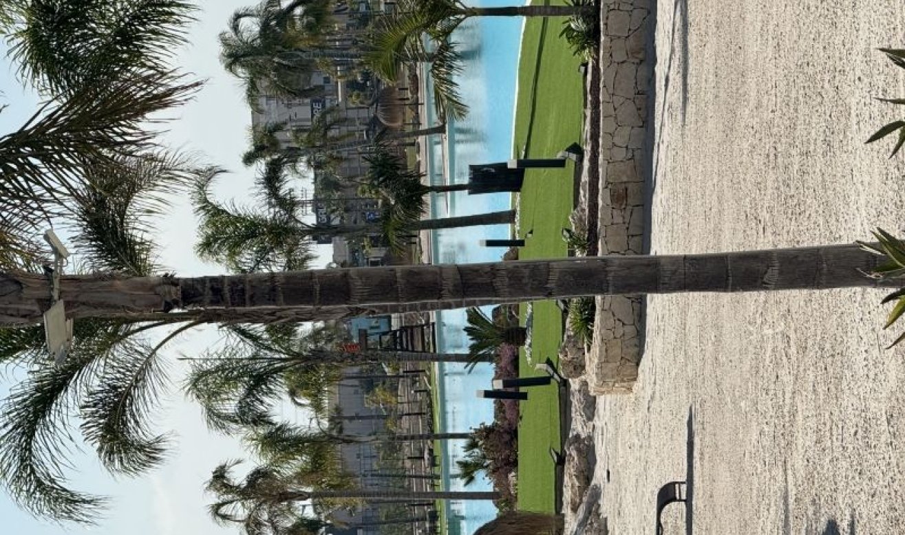 Reventa - Apartamento / piso - Torre Pacheco