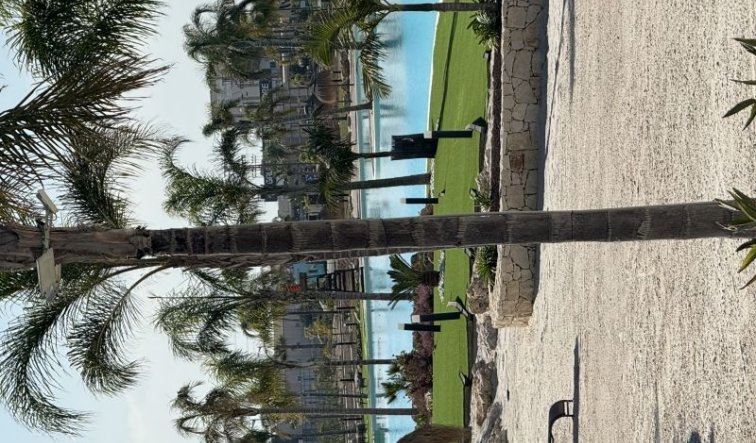 Reventa - Apartamento / piso - Torre Pacheco