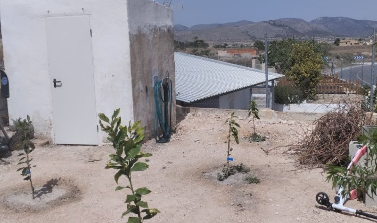 Resale - Villa - La Romana