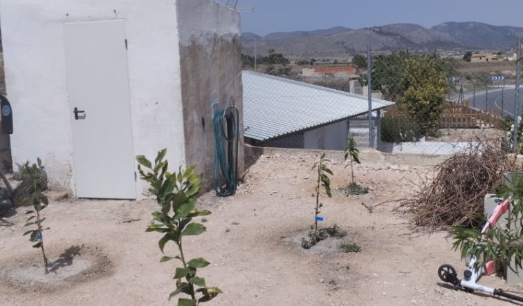 Resale - Villa - La Romana