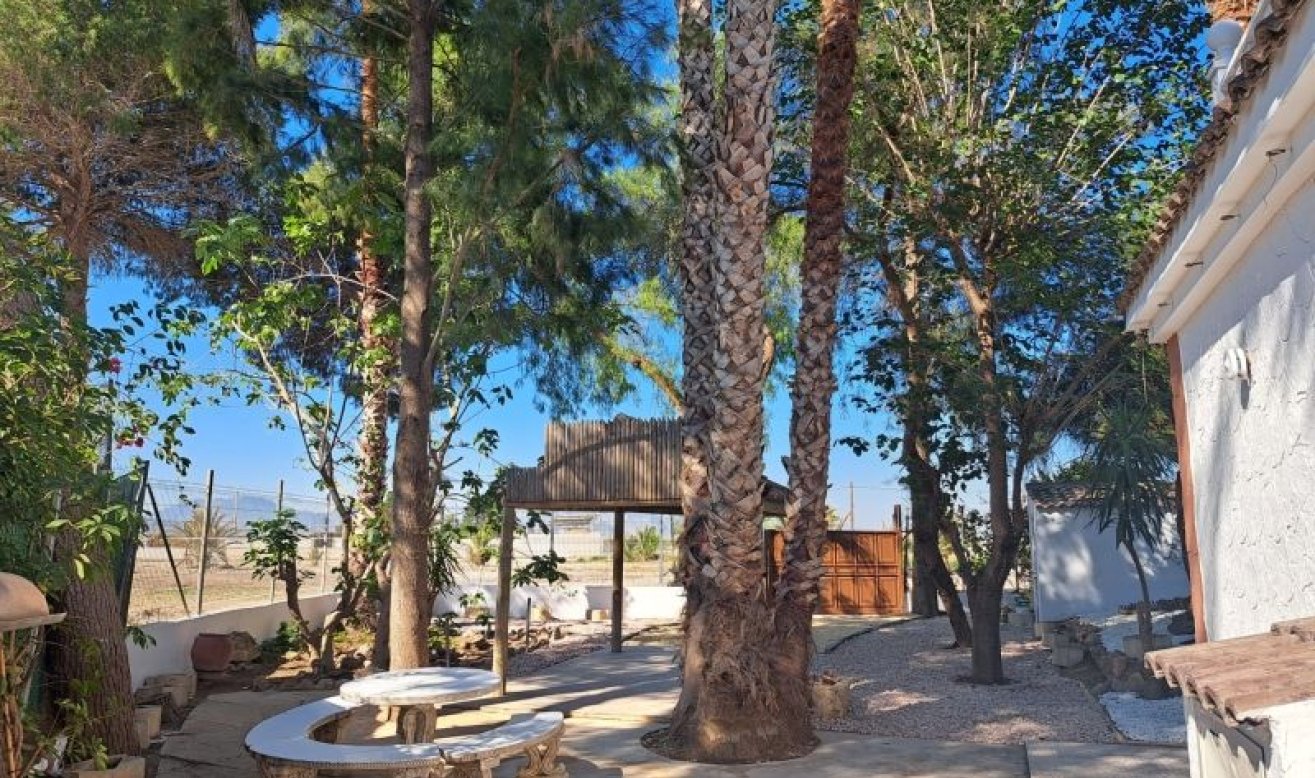 Reventa - Country house - Orihuela