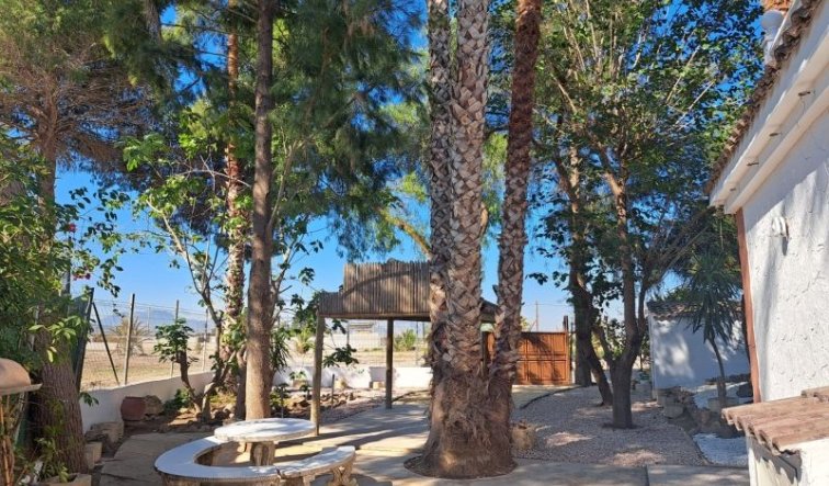 Reventa - Country house - Orihuela