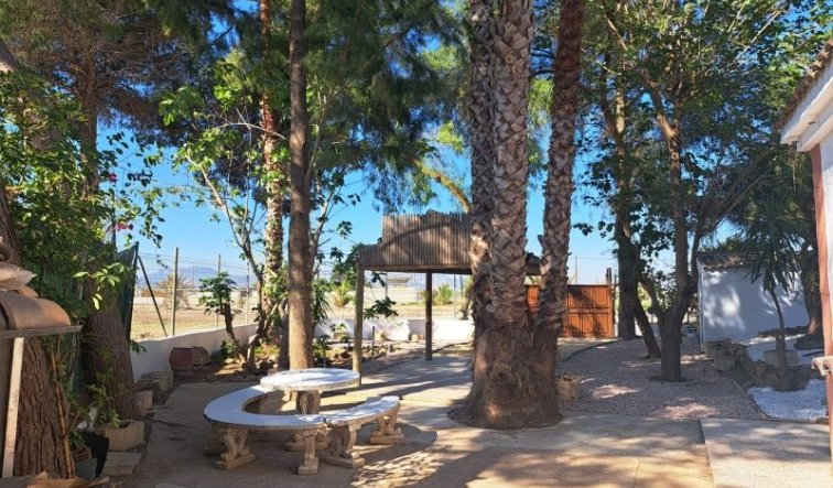 Reventa - Country house - Orihuela