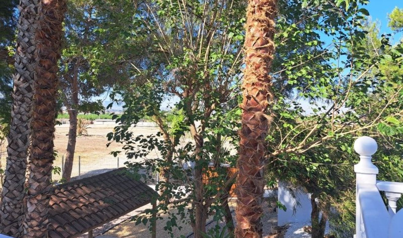 Reventa - Country house - Orihuela