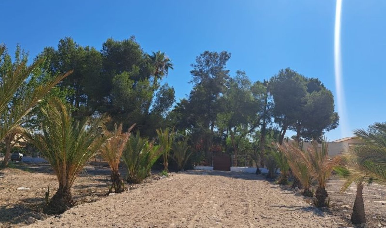 Reventa - Country house - Orihuela