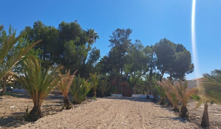 Reventa - Country house - Orihuela