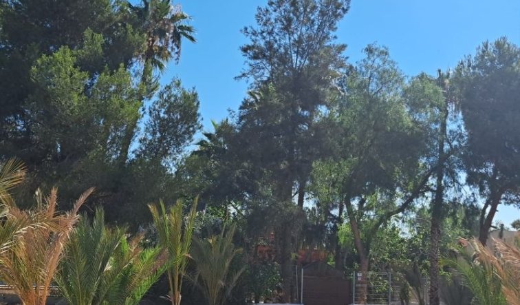 Reventa - Country house - Orihuela