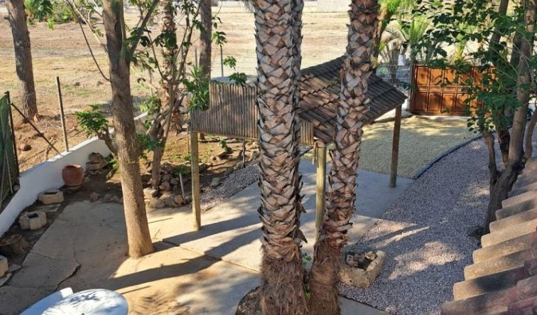 Reventa - Country house - Orihuela