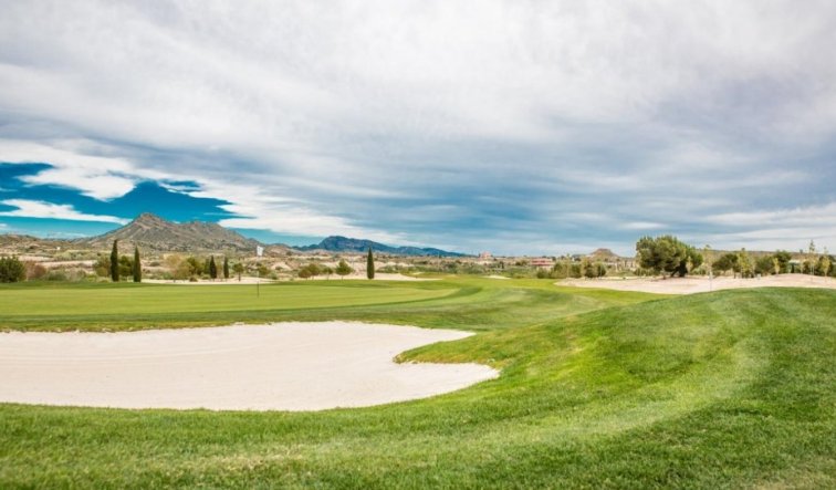 Obra nueva - Villa - Banos y Mendigo - Altaona Golf