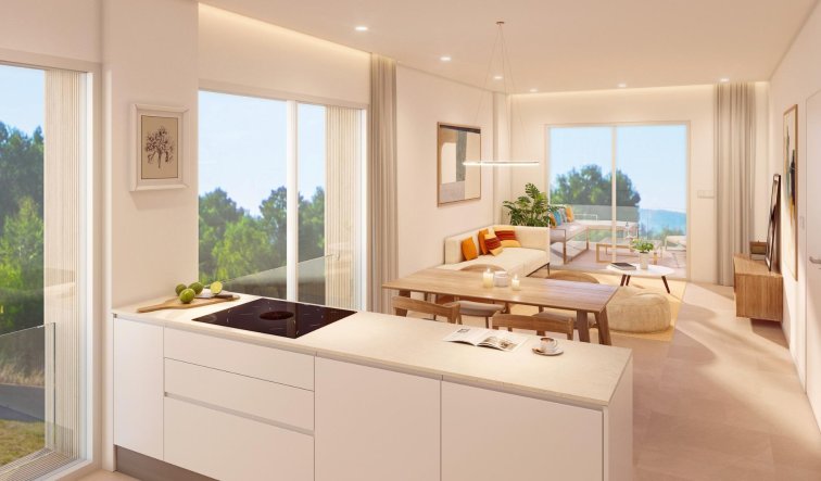 Obra nueva - Apartamento / piso - Pilar de la Horadada