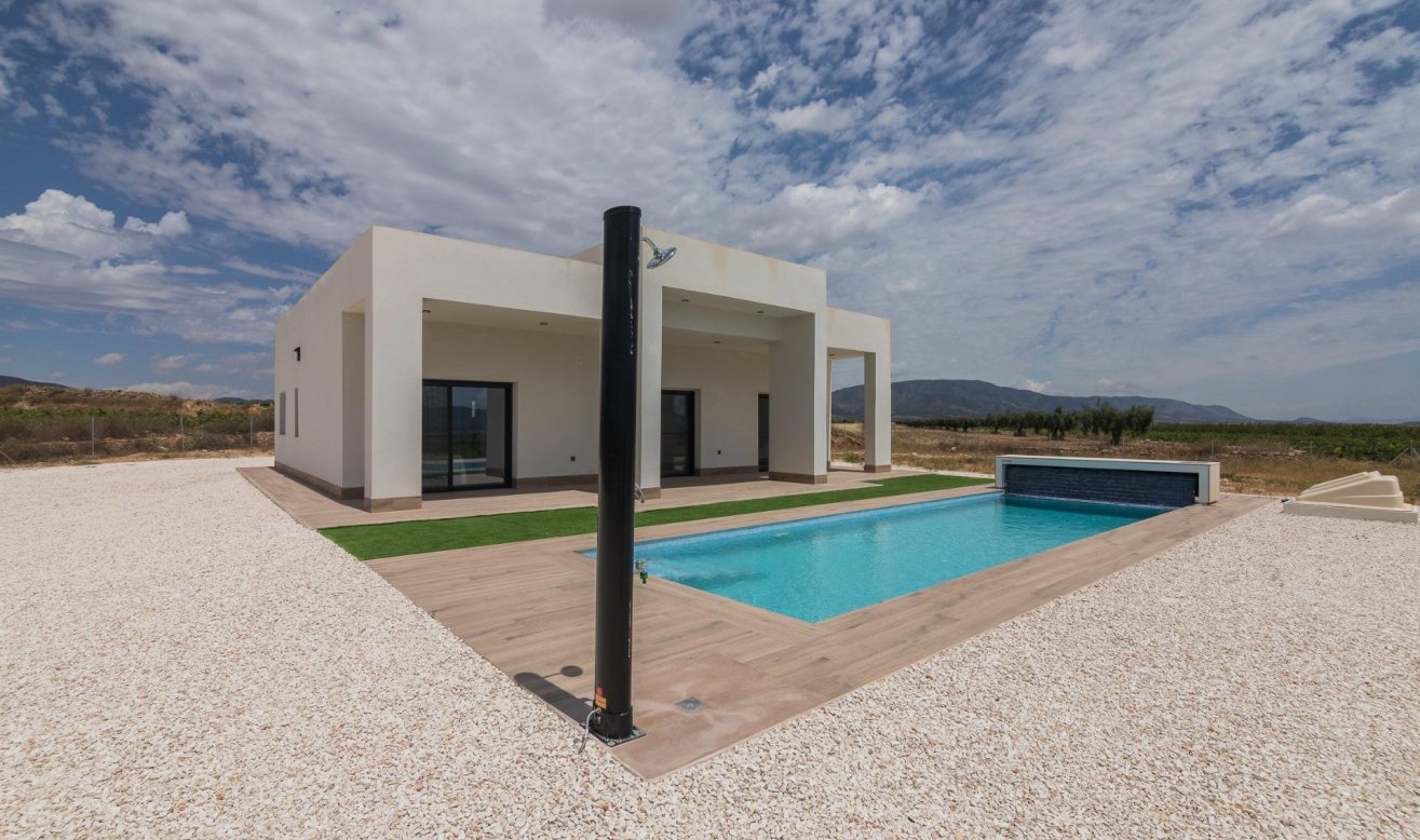 Obra nueva - Villa - Pinoso - Lel